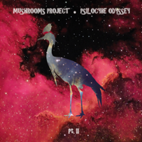 Mushrooms Project - Psilocybe Odyssey Pt. II artwork