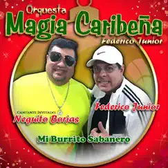 Mi Burrito Sabanero (feat. Neguito Borjas) - Single by Orquesta Magia Caribeña (Federico Junior) album reviews, ratings, credits