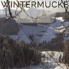 Wintermucke, Vol. 1 (Compilation of Finest Chill out & Ambient Music)