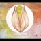 I Am the Preacher - Pistachio lyrics