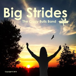 The Crazy Bulls Band - Big Strides