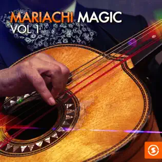 télécharger l'album Various - Mariachi Magic