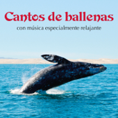 Cantos de Ballenas Con Música Especialmente Relajante - Kings of Nature