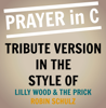 Prayer in C (In the Style of Robin Schulz & LILLYWOOD) [Karaoke Version] - Starstruck Backing Tracks