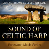 Sound of Celtic Harp - The Celtic Travellers