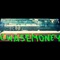 Will U Come Over (feat. Grey D) - Chase Money lyrics