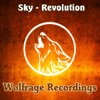 Revolution - Single