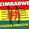 Zimbabwe - Loco de Atar (Radio Mix)