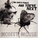 Modest Mouse - The Whale Song