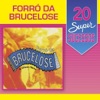 Brucelose
