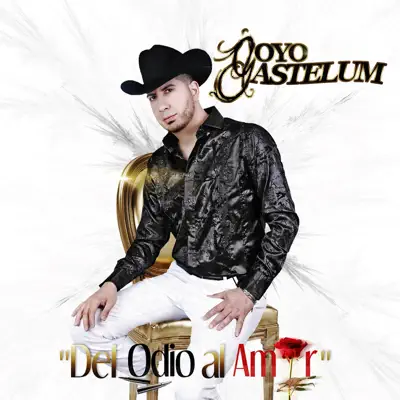 Del Odio al Amor - Goyo Gastelum