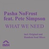 What We Need (feat. Pete Simpson) - Single