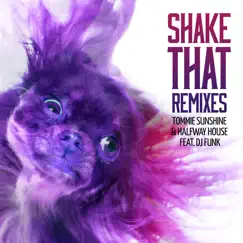 Shake That (feat. DJ Funk) [Remixes] - EP by Tommie Sunshine & Halfway House album reviews, ratings, credits