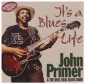 John Primer - Lonesome for Your Love