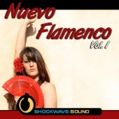 Nuevo Flamenco, Vol. 1 artwork