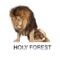 Lion's Door - Holy Forest lyrics