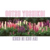Ootsu Yoshikoi - Koko Ni Kou Ari