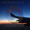 Lucid Sounds, Vol. 12 - A Fine and Deep Sonic Flow of Club House, Electro, Minimal and Techno