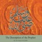 The Description of the Prophet,, Pt. 2 - Abu Ammaar Yasir Qadhi lyrics
