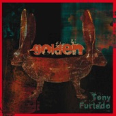 Tony Furtado - Toe the Line