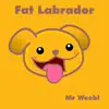 Fat Labrador - Single album lyrics, reviews, download
