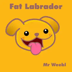 Fat Labrador Song Lyrics