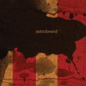 Astrobeard - Fly