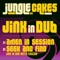 Seek & Find - Jinx In Dub lyrics