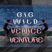 Venice Venture artwork