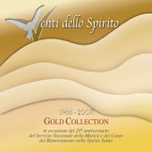 Venti dello spirito (Gold Collection, 1988-2007) [In occasione del 20 anniversario del Servizio Nazionale della Musica e del Canto del Rinnovamento nello Spirito Santo] artwork