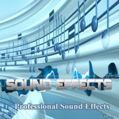 Gun Sound Effect artwork