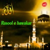 Rasool-E-Bawakar