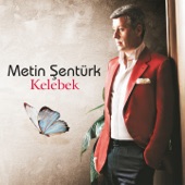 Sensizlik Kalbe Zararlı (feat. Elif Kaya) artwork