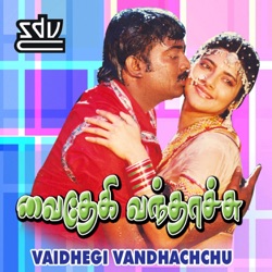 Rajan Chakravarthy & Chitra - Chinna Idhazh Senbagame