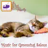 Cat Music for Grooming Salons album lyrics, reviews, download