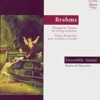 Brahms: Hungarian Dances for String Orchestra