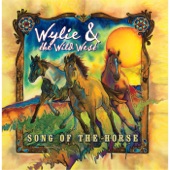Song of the Horse artwork
