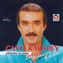 Cavit Karabey - Adını Hasret Koydum
