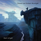 David Wright - Procession Under Moonlight