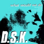 DSK - What Would We Do