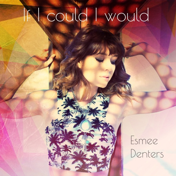 Cover artwork for If I Could I Would
