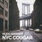 NYC Cougar (Rui Da Silva Missing Beats Remix) - Hugo Barritt lyrics
