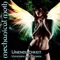 Gute Vibrationen (Chainreactor Remix) - Mechanical Moth lyrics