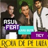Asu - Roua de pe Lalea ( Feat. Liviu Guta & Ticy )