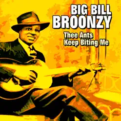 Thee Ants Keep Biting Me - Big Bill Broonzy