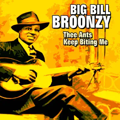 Thee Ants Keep Biting Me - Big Bill Broonzy