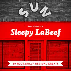 The Door to Sleepy LaBeef - 30 Rockabilly Revival Greats - Sleepy LaBeef