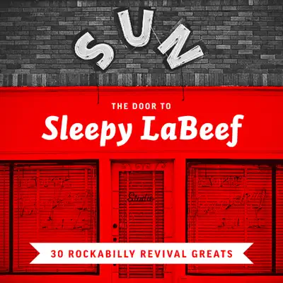 The Door to Sleepy LaBeef - 30 Rockabilly Revival Greats - Sleepy LaBeef