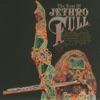 The Best of Jethro Tull (The Anniversary Collection) artwork