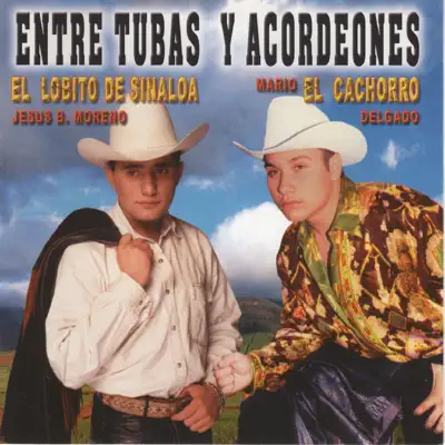 Entre Tubas y Acordeones - El Lobito de Sinaloa Entre Tubas y Acordeones - El Lobito de Sinaloa